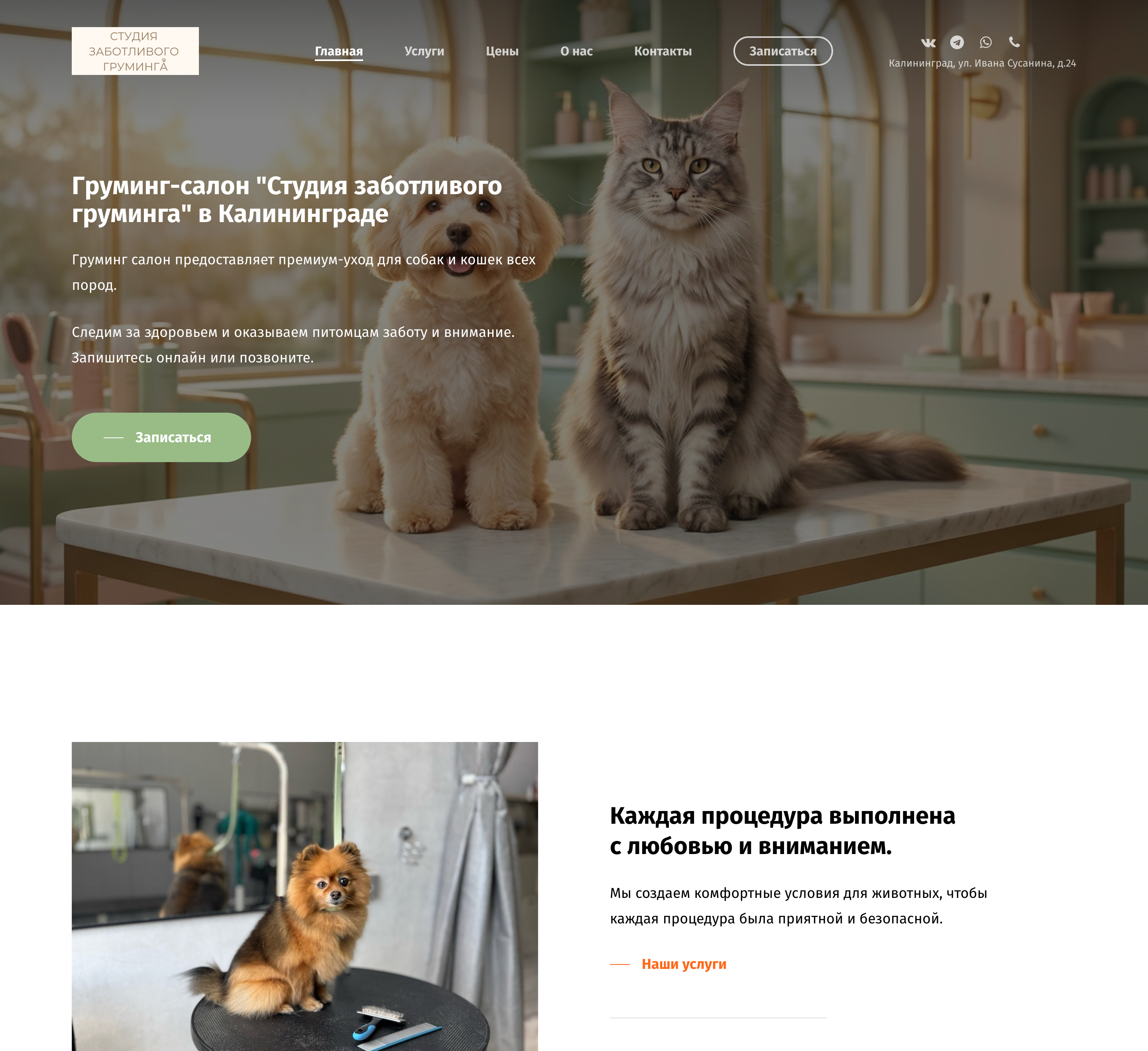 Разработка сайта для студии груминга — кейс CodeTop Калининград